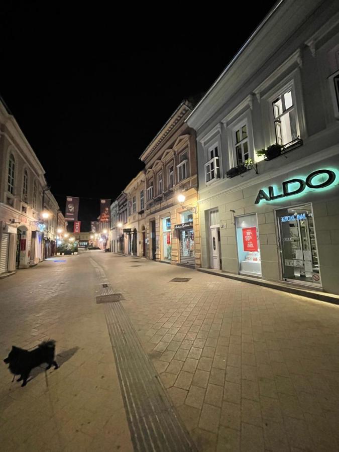 Lux Dabich 1 Apartment Novi Sad Luaran gambar
