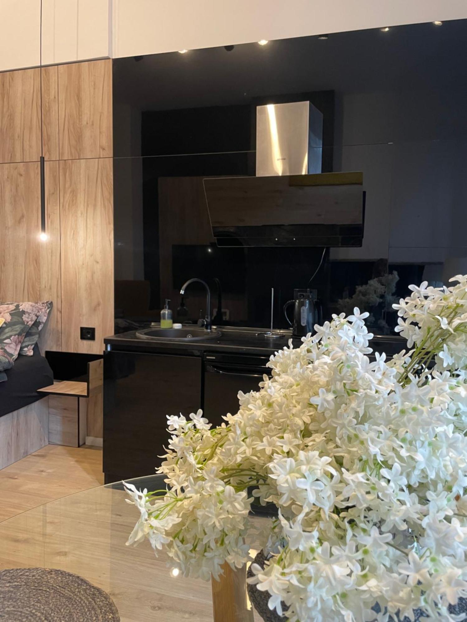 Lux Dabich 1 Apartment Novi Sad Luaran gambar